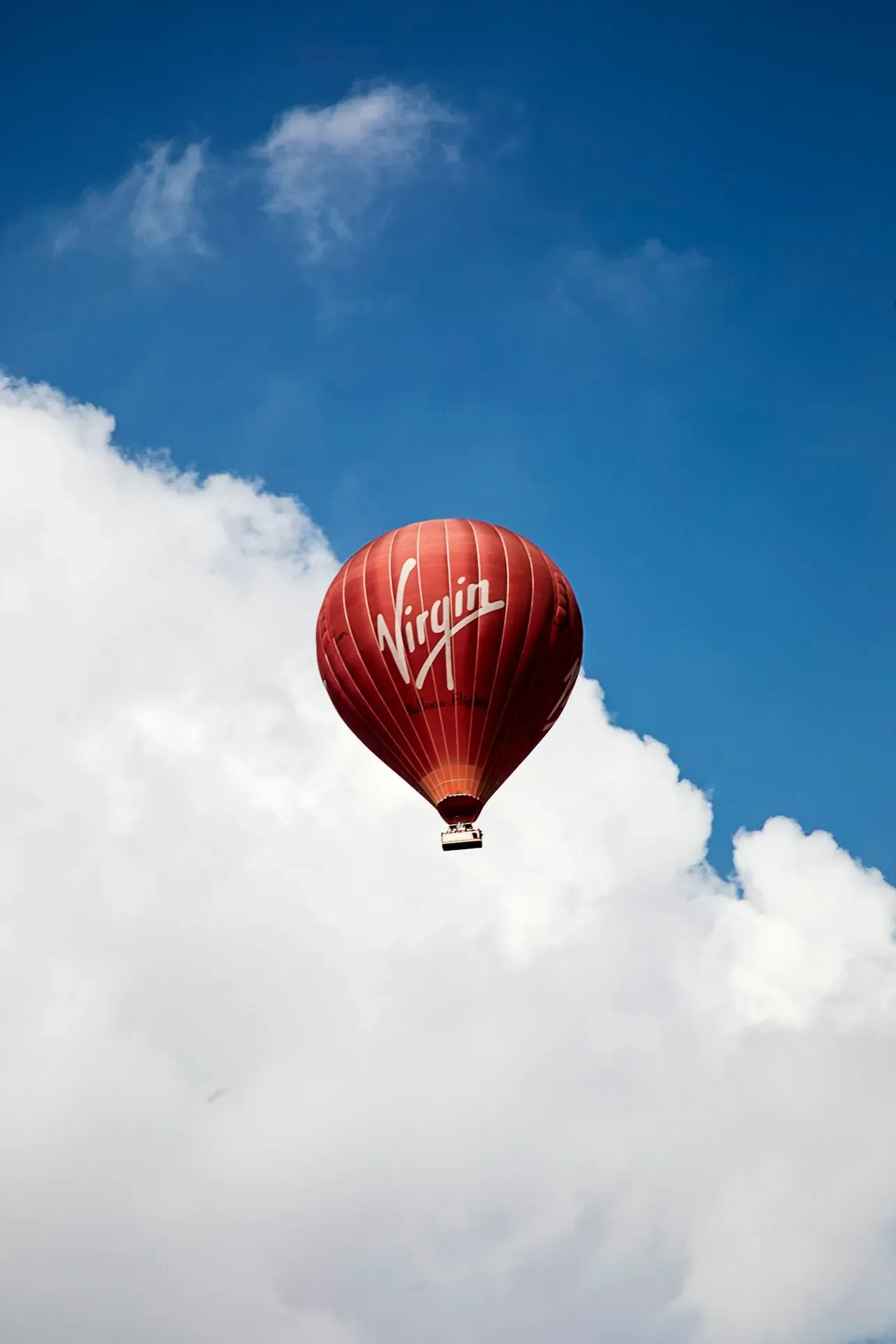 Brand Deals for Influencer cover